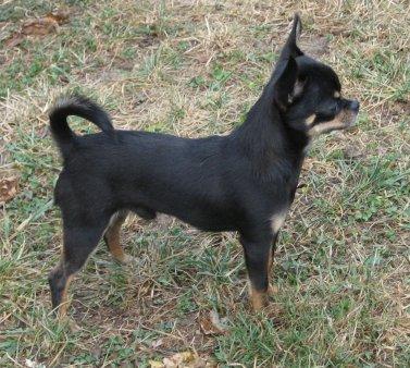 Romeo
