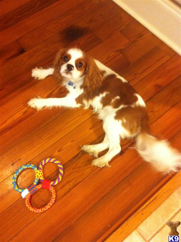 Charlie