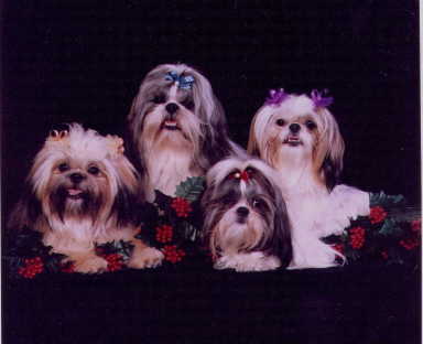 Puppies - They are here and taking deposits.