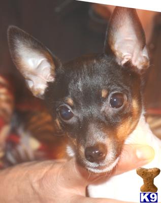 Romeo
