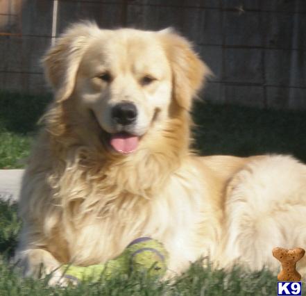 Chadwicks Sweet Talkin Sam