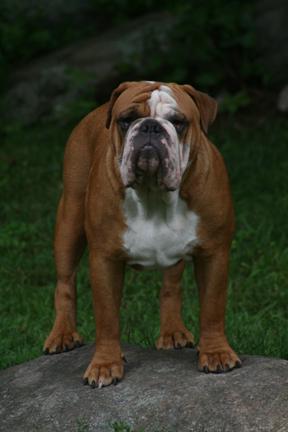 Big Red