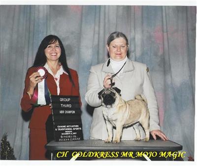 Ch. Goldkress Mr. Mojo Majic