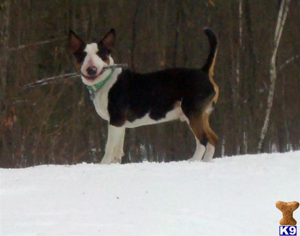 Egor