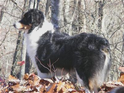 Pre and Boomer