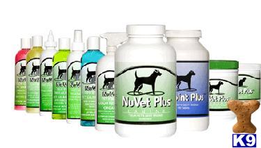 NuVet Supplement