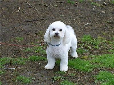 George