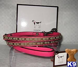 pink size small up to 45 lbs new in box, sorry SOLD