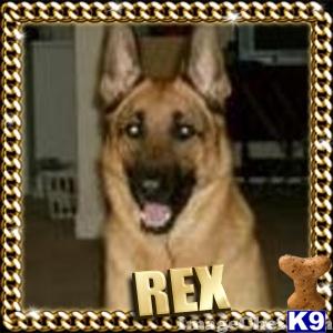 REX