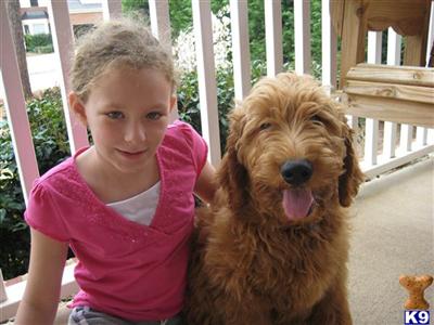 Clifford