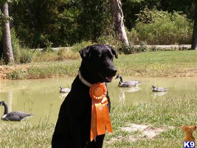 Hunter