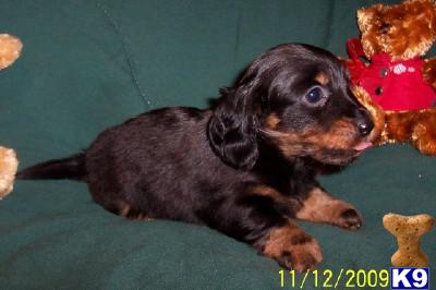 Winnie