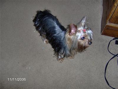 Colby