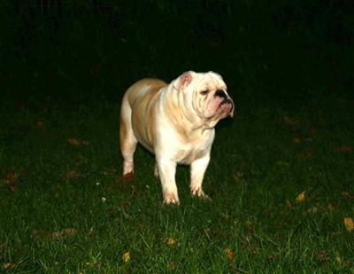 UGAs 6s OTIS