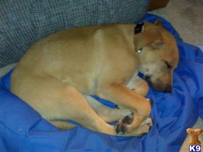 Buster