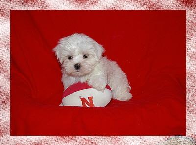 QUINN -- our only little boy right now