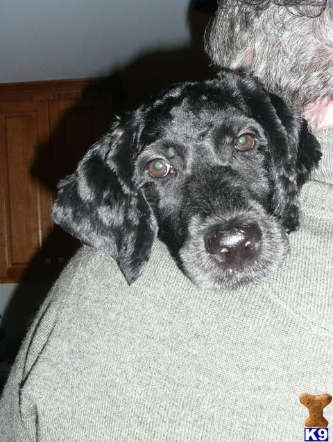 Pearl