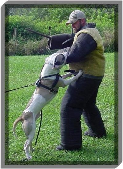 UWP U-AGI Medwin Jaeger Von Deuce CGC TD SD HIC FD FDX FDCH FDCH-S WP3