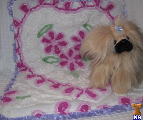 Quality Custom Beds, Crate Mats n More
