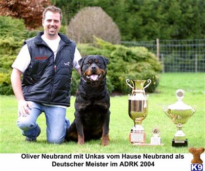 UNKAS VOM HAUSE NEUBRAND