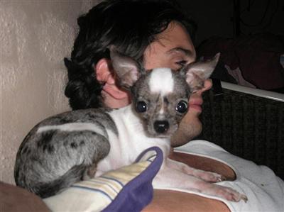 Unique TINY pre-spoiled