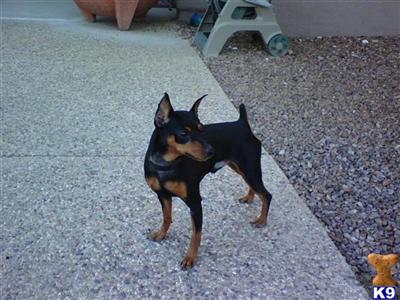 RockyII
