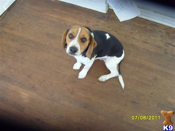 Ferdinand