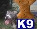 Stud Dogs in KY