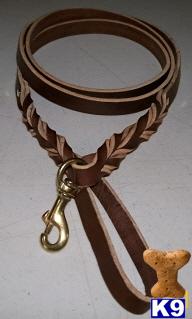 Used Dog Supplies for Sale