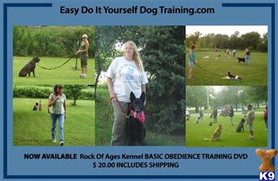 Used Dog Supplies for Sale