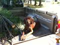 Redbone Coonhound 