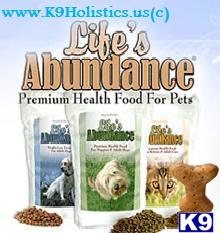 Used Dog Supplies for Sale