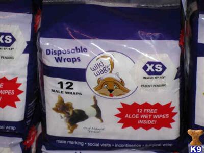 Used Dog Supplies for Sale