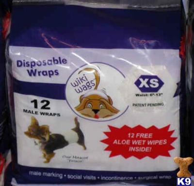 Used Dog Supplies for Sale