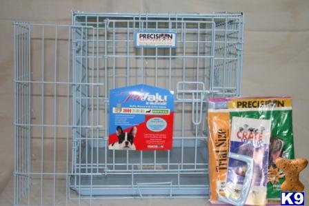 Used Dog Supplies for Sale