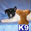 Akita Puppies