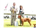 Dogue De Bordeaux