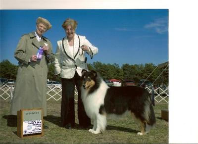Stud Dogs in NJ