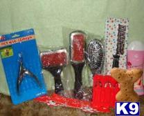 Used Dog Supplies for Sale