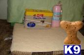 Used Dog Supplies for Sale