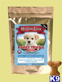 Used Dog Supplies for Sale