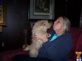 Scottish Terrier
