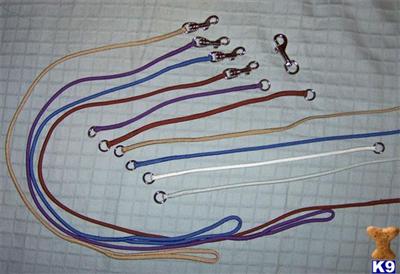Used Dog Supplies for Sale