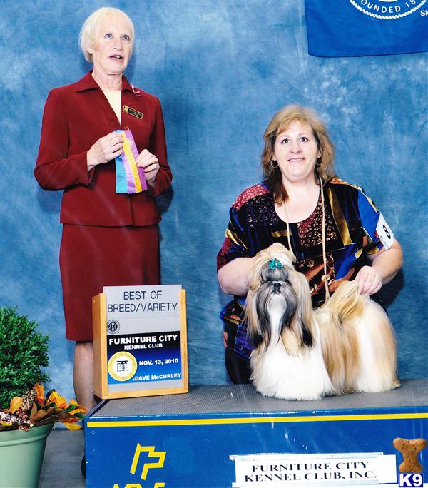 Dogs for Sale in NC