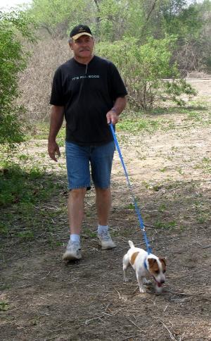 Stud Dogs - Jack Russell Terrier