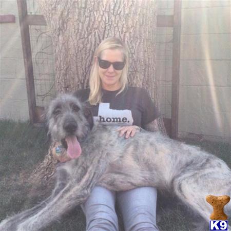 CallieFranHunt Picture 3