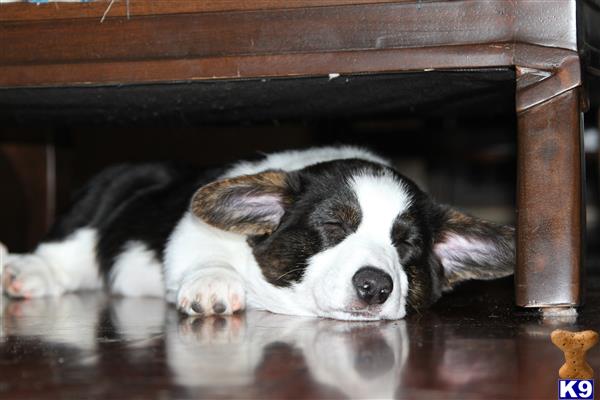 Coreywhitney Picture 2