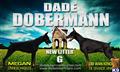 doberman pinscher puppy posted by DadeDobermann