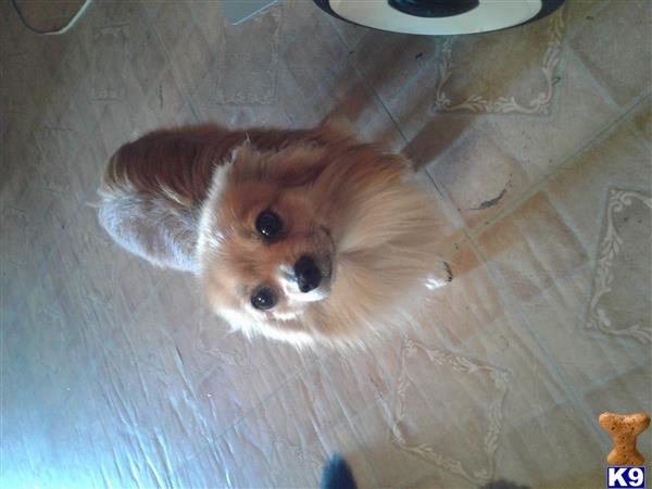 Docjay Picture 3