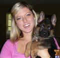 german shepherd puppy posted by Kevindaley